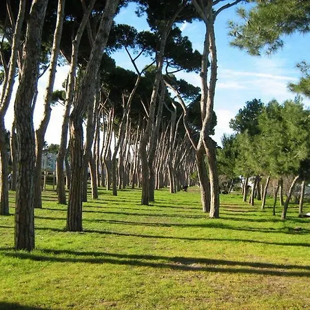 Casa Verde Pineta Róma